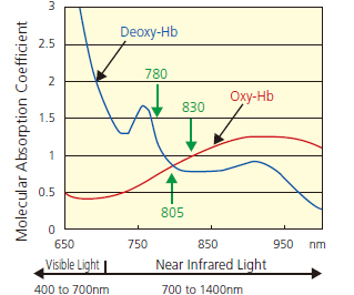 Fig.2 Absorption Spectrum of Hemoglobin