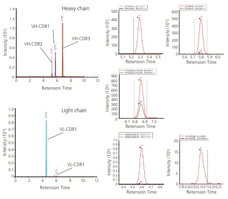 Fig. 2 Detection of Trypsin Fragments Containing CDR1-3 Using Standard Monoclonal Antibodies (6E10) Subjected to Trypsin Digestion (Data Analysis by Skyline)