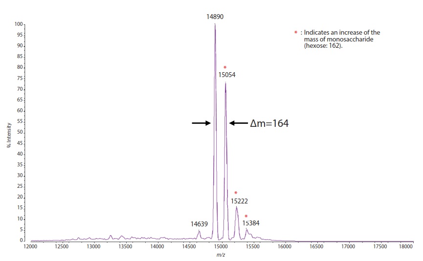 Fig.2 Mass Spectrum of Ribonuclease B