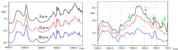 Fig. 1 Specular Reflection Absorption Spectra of Novolac Resin at 30, 10, and 5 µm　　　Fig. 2 Magnifie