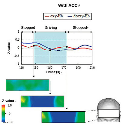 Fig. 2 Changes in Oxyhemoglobin under the With Driving Assistance Condition