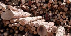 Biomass