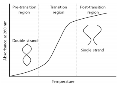 Fig. 1 Melting Curve of Nucleic Acid