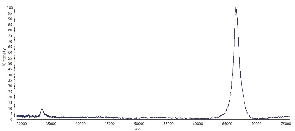 Fig. 2 Mass Spectrum of a Trace Amount of Protein (Bovine Serum Albumin)