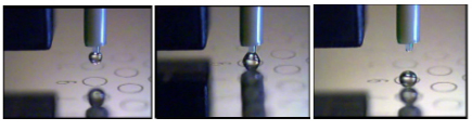 AccuSpot applications