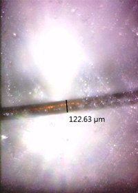 irspirit_img28