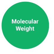 Molecular Weight