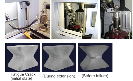 Fatigue Crack