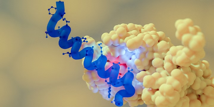 胜肽類治療 Peptide Therapeutics