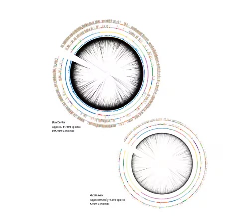 基於基因體資料建立的資料庫