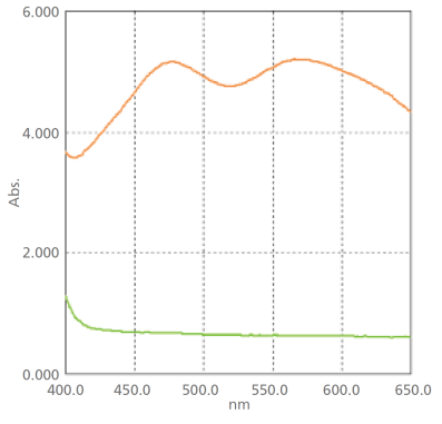 Sample Polarization Film Measurement